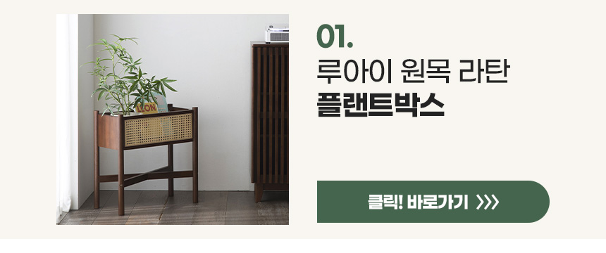 파로마 루아이 원목라탄 플랜트박스 시리즈 상세 이미지 3